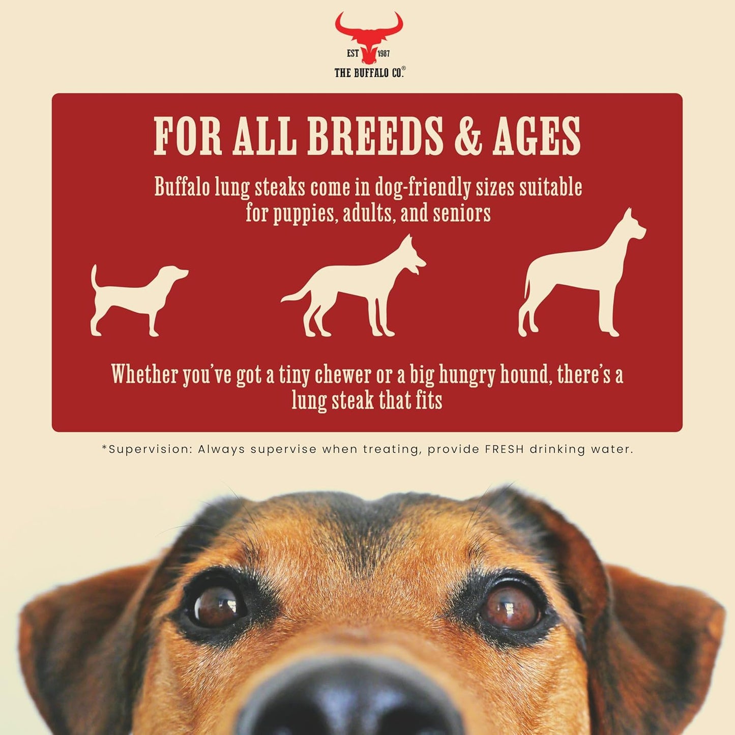 The Buffalo Co. Buffalo Lung Steaks for Dogs | 100% Natural | Dog treats |  1 x 100g