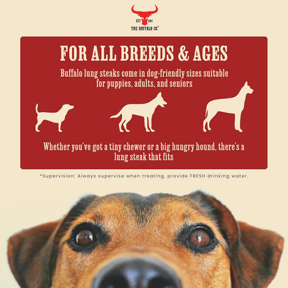 The Buffalo Co. Buffalo Lung Steaks for Dogs | 100% Natural | Dog treats |  1 x 100g