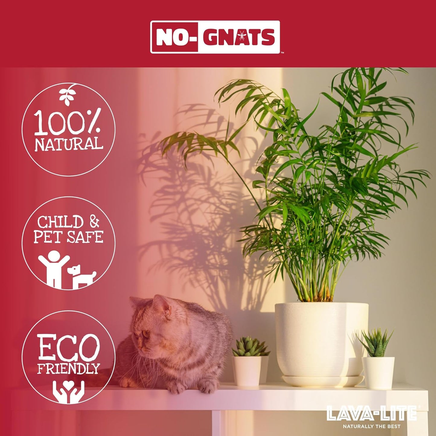 Lava-Lite No Gnats | Original Natural Fungus Gnat Killer for Houseplants, Soil & Compost | Child