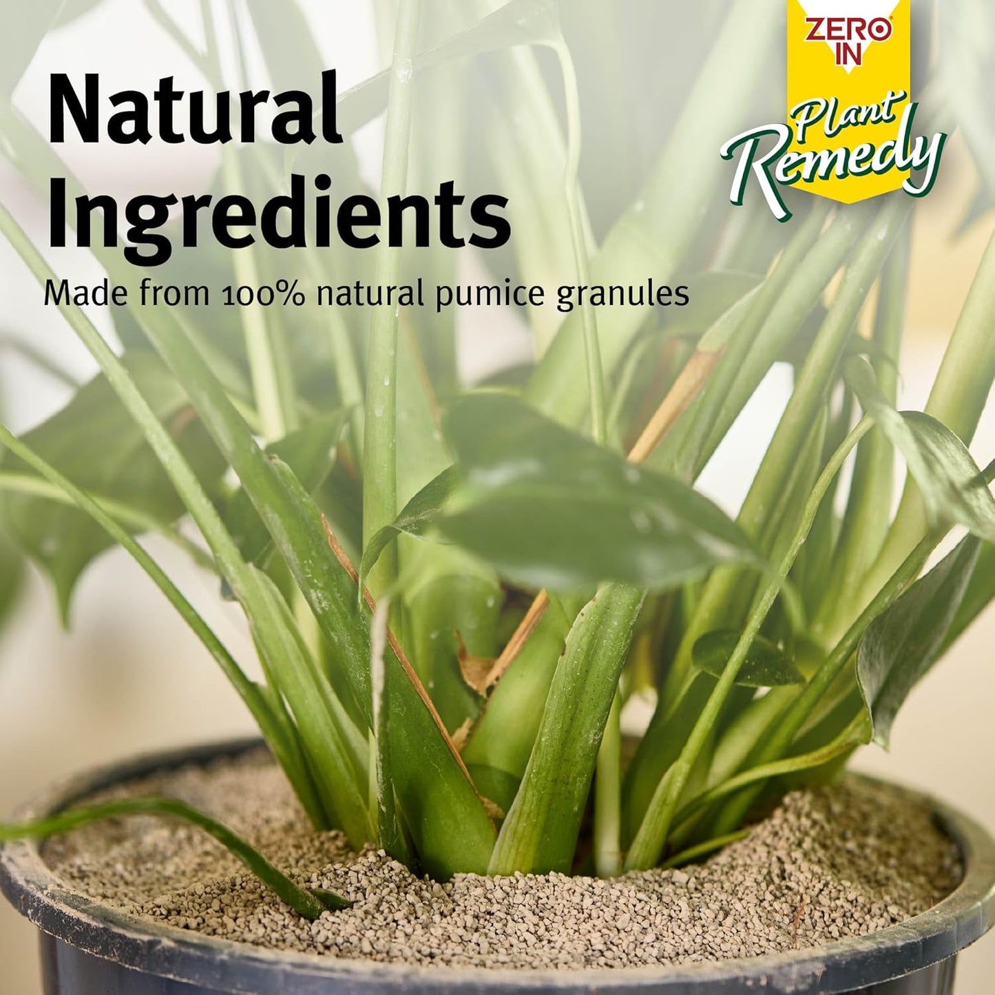 Zero-In Gnat Barrier Granules | 100% Natural Pumice Granules| 1 x 2.5L Bag