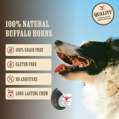 The Buffalo Co. Buffalo Horns for Dogs Small 4–5 Inch