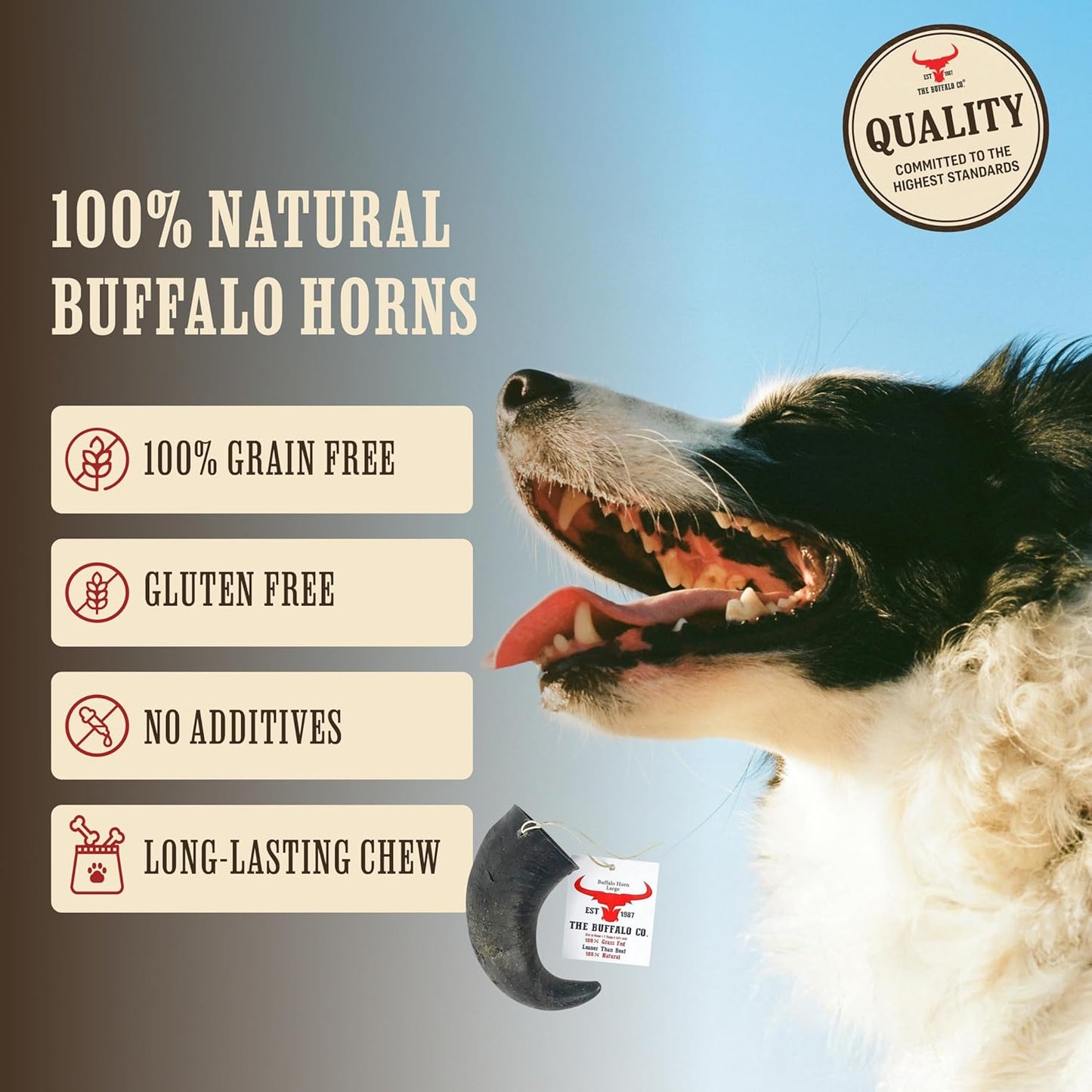 The Buffalo Co. Buffalo Horn for Dogs | Large (6-8 Inch) | 100% Natural Grass-Fed Dog Treats