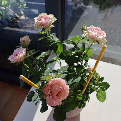 Zero-In Pot Plant Insect Sticks 6pk