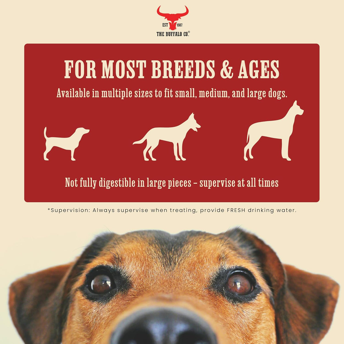 The Buffalo Co. Buffalo Horn for Dogs | Large (6-8 Inch) | 100% Natural Grass-Fed Dog Treats