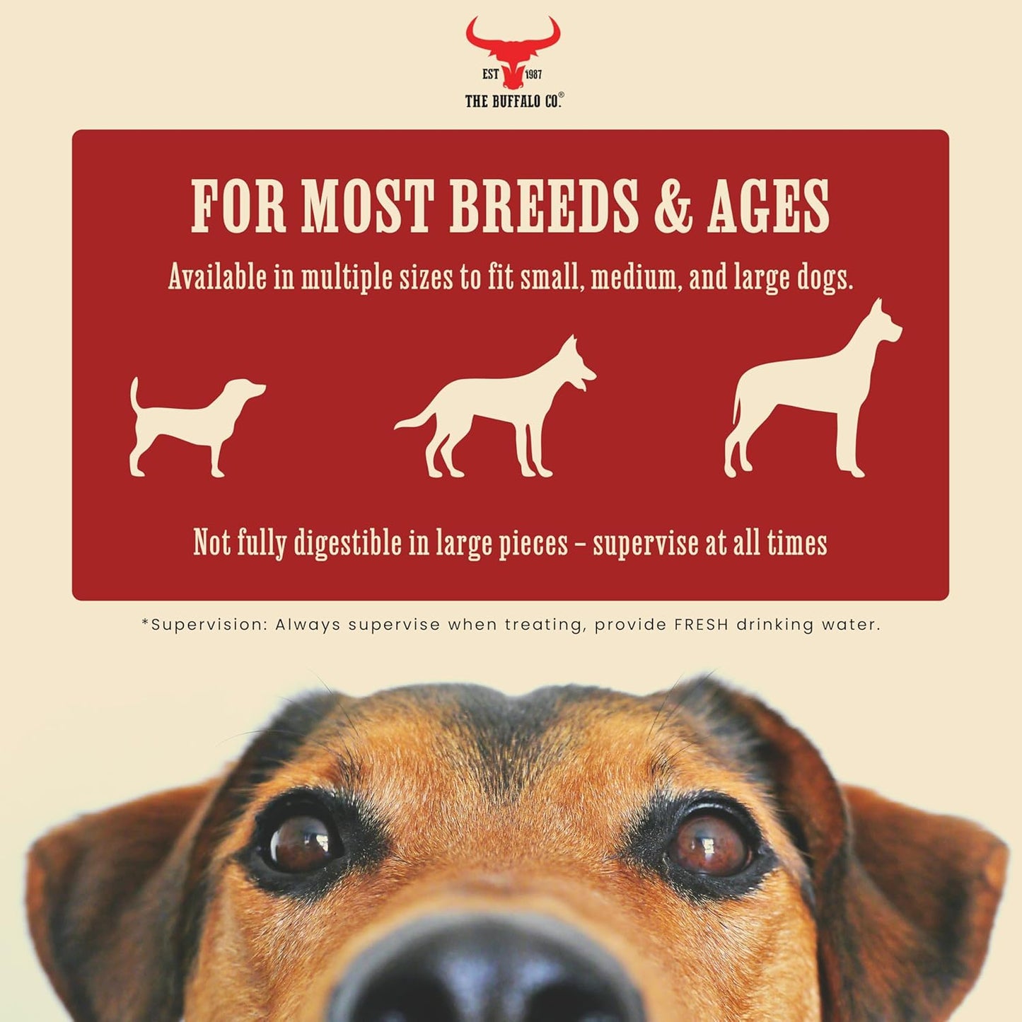 The Buffalo Co. Buffalo Horn for Dogs | Large (6-8 Inch) | 100% Natural Grass-Fed Dog Treats