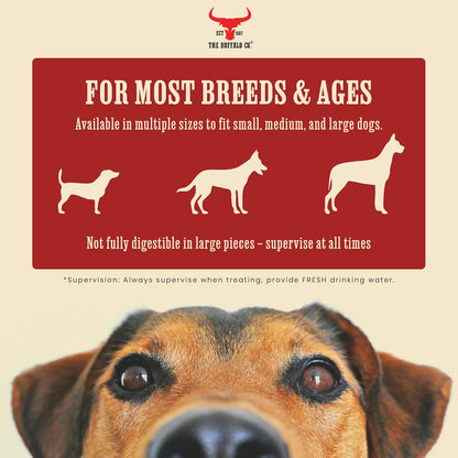The Buffalo Co. Buffalo Horns for Dogs Small 4–5 Inch