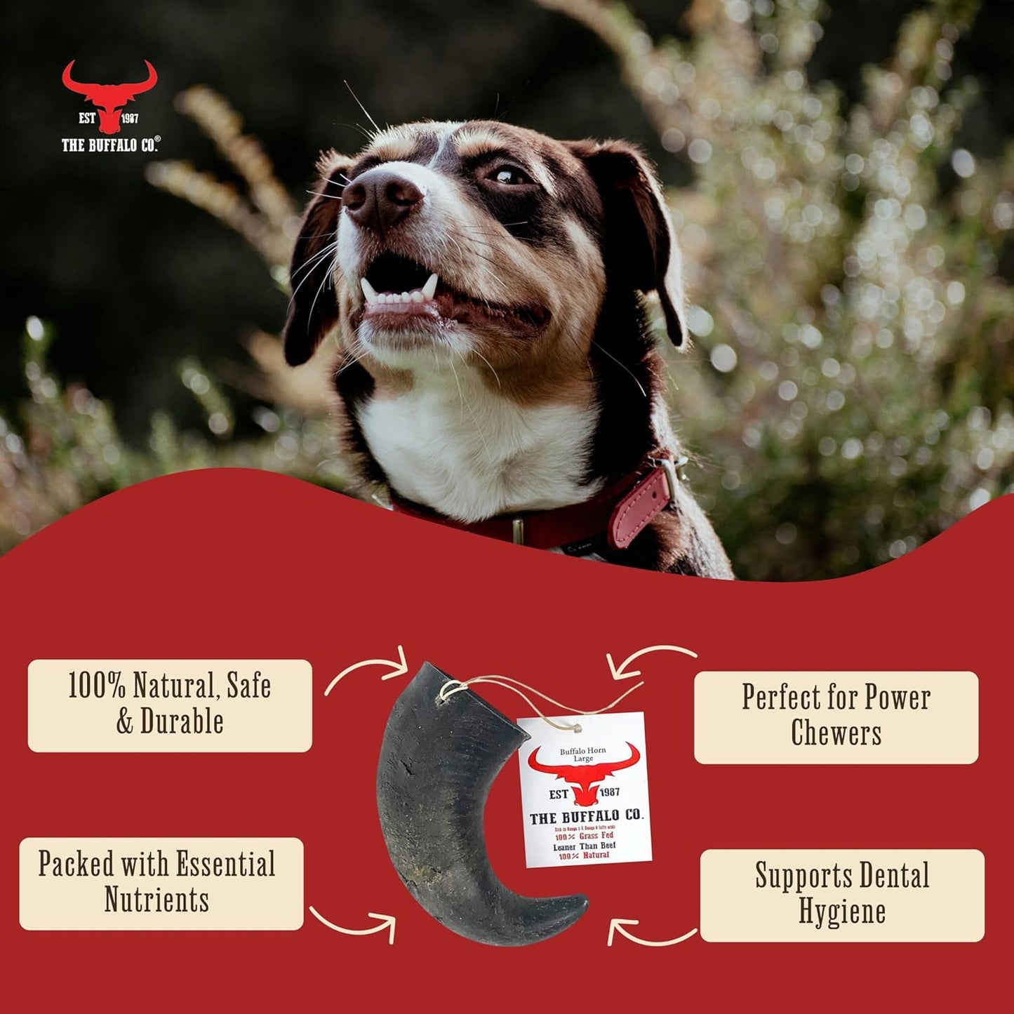 The Buffalo Co. Buffalo Horns for Dogs Small 4–5 Inch