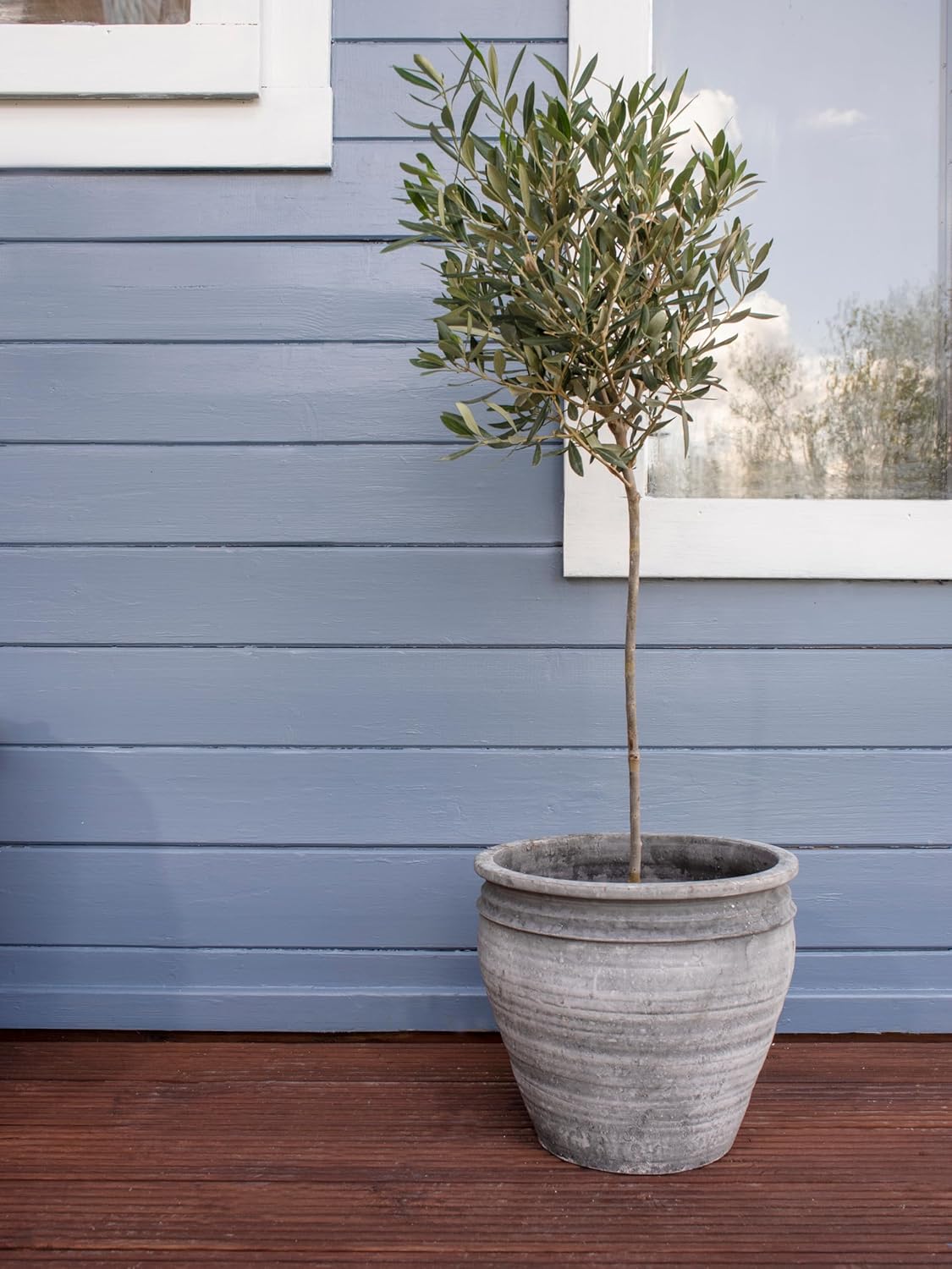 Ronseal Fence Life Plus+ Cornflower 5 Litre.