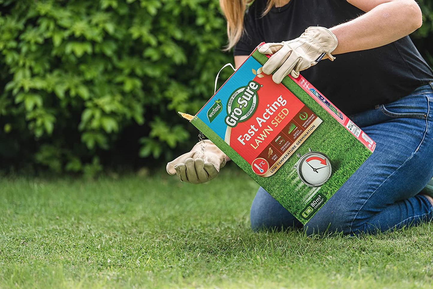 Westland Gro-Sure Fast Acting Grass Lawn Seed 80m2 2.4kg - UK BUSINESS SUPPLIES