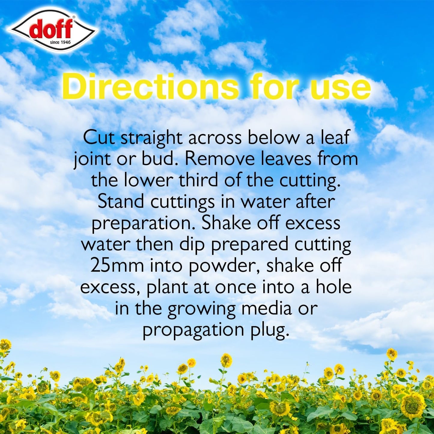 Doff Natural Rooting Powder 75g | 3 Pack Bundle