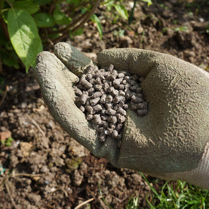Vitax 6X Pelleted 100% Natural Chicken Manure 7kg