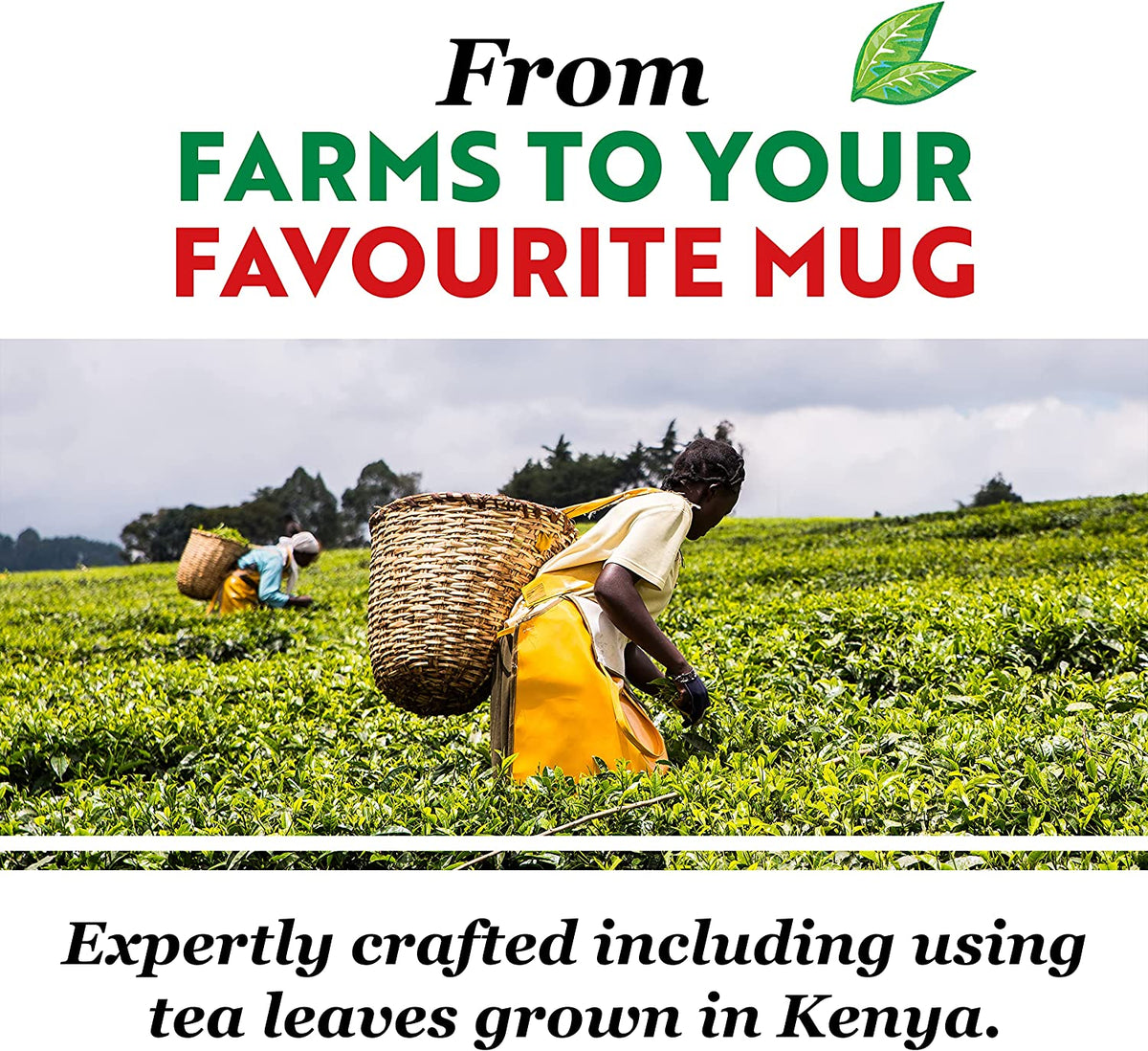 PG Tips 440's - UK BUSINESS SUPPLIES