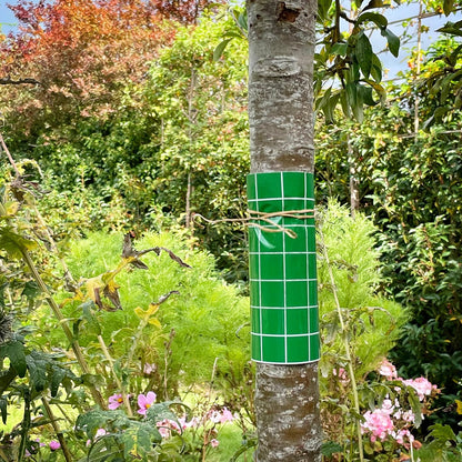 BugClear™ Insect Glue Barrier 5 Metre