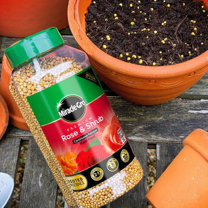 Miracle-Gro Premium Rose & Shrub Continuous Release Plant Food, 900G