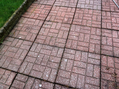 Algon Organic Path and Patio Cleaner Concentrate 2.5 Litre