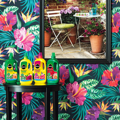 Miracle-Gro All Purpose Liquid Plant Food 1L RTU