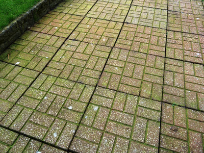 Algon Organic Path and Patio Cleaner Concentrate 2.5 Litre