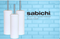Sabichi White Toilet Brush & Holder