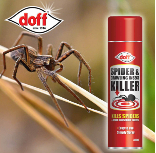 Doff Spider & Crawling Insect Killer 300ml - UK BUSINESS SUPPLIES