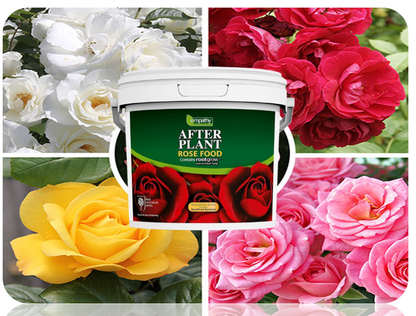 Empathy After Plant Rose Food With Rootgrow 5kg