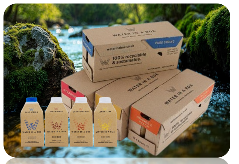 Vivid Water in a Box Strawberry Water 12 x 500ml