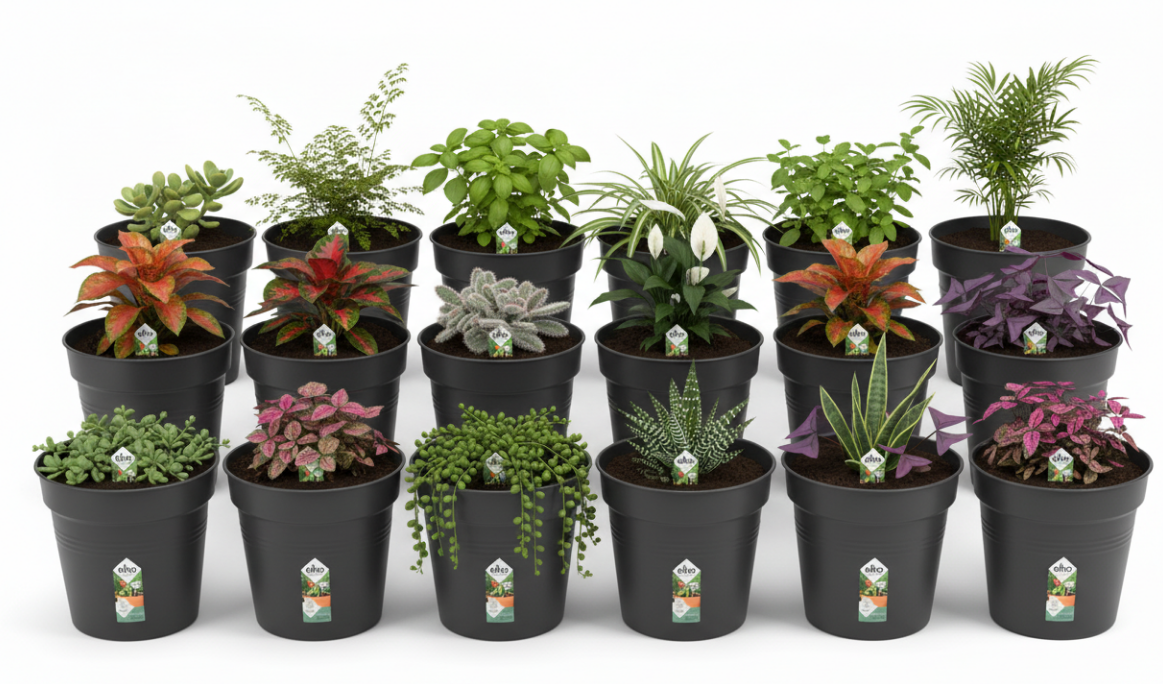 Elho Green Basics Grow Pot 13cm LIVING BLACK