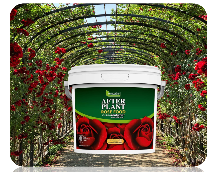 Empathy After Plant Rose Food With Rootgrow 5kg