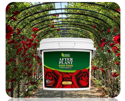 Empathy After Plant Rose Food With Rootgrow 5kg