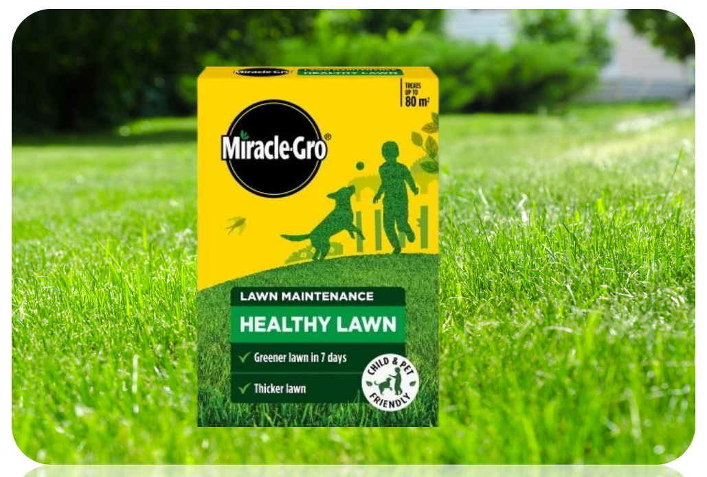 Miracle-Gro Healthy Lawn Food | Green in a Week | 80m2