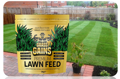 Grass Grains Premium Lawn Feed 2kg | Gold Edition