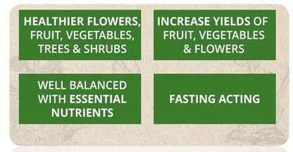 Vitax Growmore 20Kg Sack By Vitax Ltd