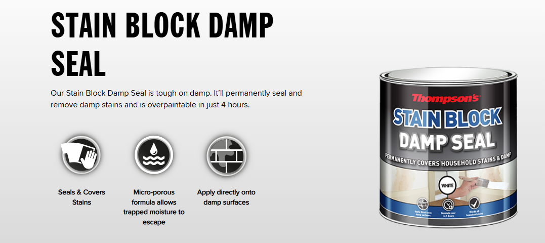 Thompsons {Ronseal} Stain Block Damp Seal White - 250ml