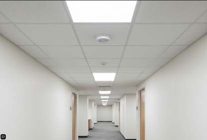 Black & Decker Smoke Alarm | 5 Year Replaceable Battery | Optical Sensor