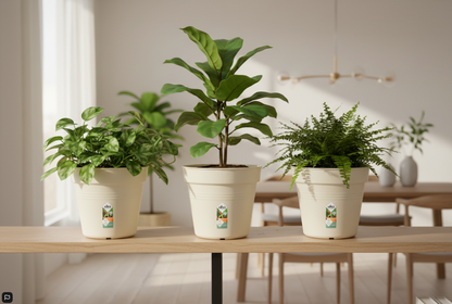 Elho Green Basics Grow Pot 13cm COTTON WHITE