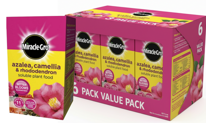 Miracle-Gro® Azalea, Camellia & Rhododendron Soluble Plant Food 1kg