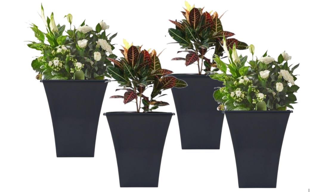 Wham Black Square Metallica Pot 23cm H307