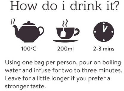 Twinings Lemon and Ginger Fruit Infusion Tea Bags (Pack of 20) F09613 - UK BUSINESS SUPPLIES