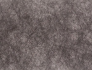 Apollo Gardening Ltd Weed Control 2M X 50M 66468