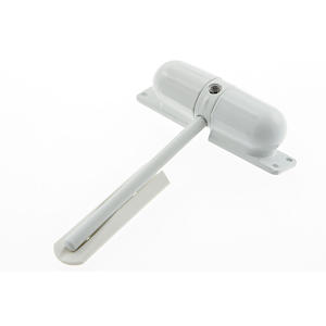 Burg Wachter White Spring Loaded Door Closer  Black Brass