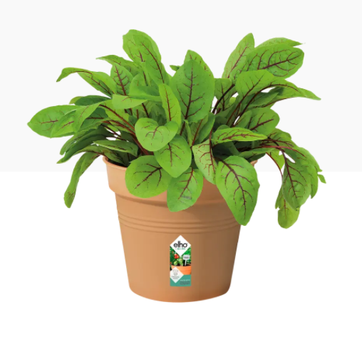 Elho Green Basics Grow Pot 13cm TERRACOTTA | 12 Pack Bundle