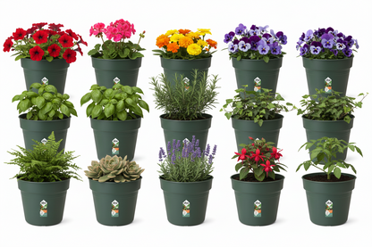 Elho Green Basics Grow Pot 19cm LEAF GREEN
