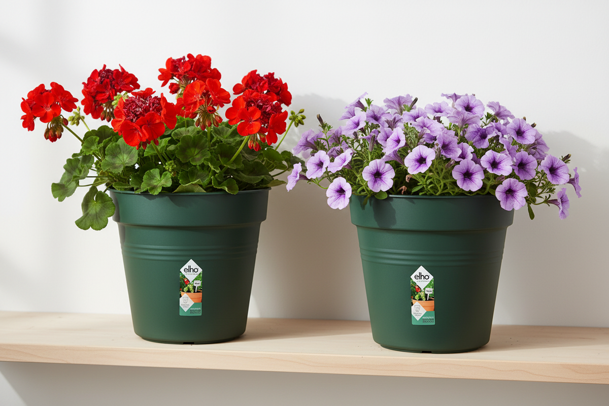 Elho Green Basics Grow Pot 19cm LEAF GREEN