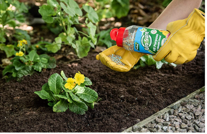 Westland Gro-Sure Slow Release 6 Month Plant food 1.0kg