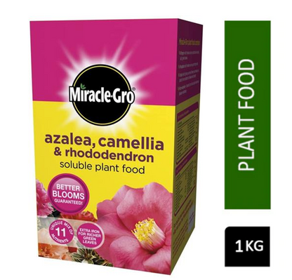 Miracle-Gro® Azalea, Camellia & Rhododendron Soluble Plant Food 1kg