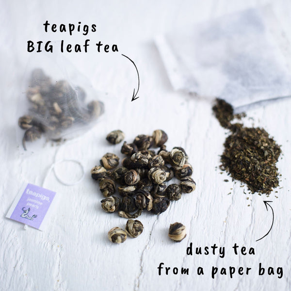 Teapigs Jasmine Pearls Tea Bags Made With Whole Leaves 50's