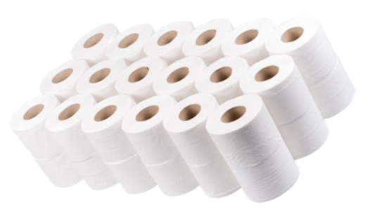 Janit-X White Toilet Roll 2 Ply 200 Sheets White (Pack 36) - TR200R