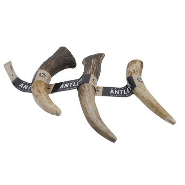 Eco Pet Large Antler Real Red Deer (Elk) Dog Chew - UK BUSINESS SUPPLIES