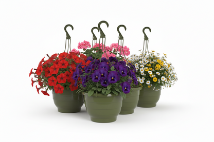 Fixtures Green Garden Hanging Basket 25cm x 16cm