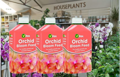 Vitax Liquid Orchid Bloom Feed Vitax Plant Food Fertiliser For Beautiful Flowers 500ml