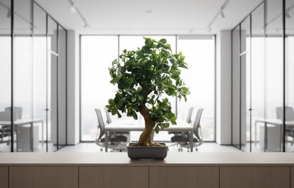 Fixtures Artificial Green Polyscias Tree 80cm